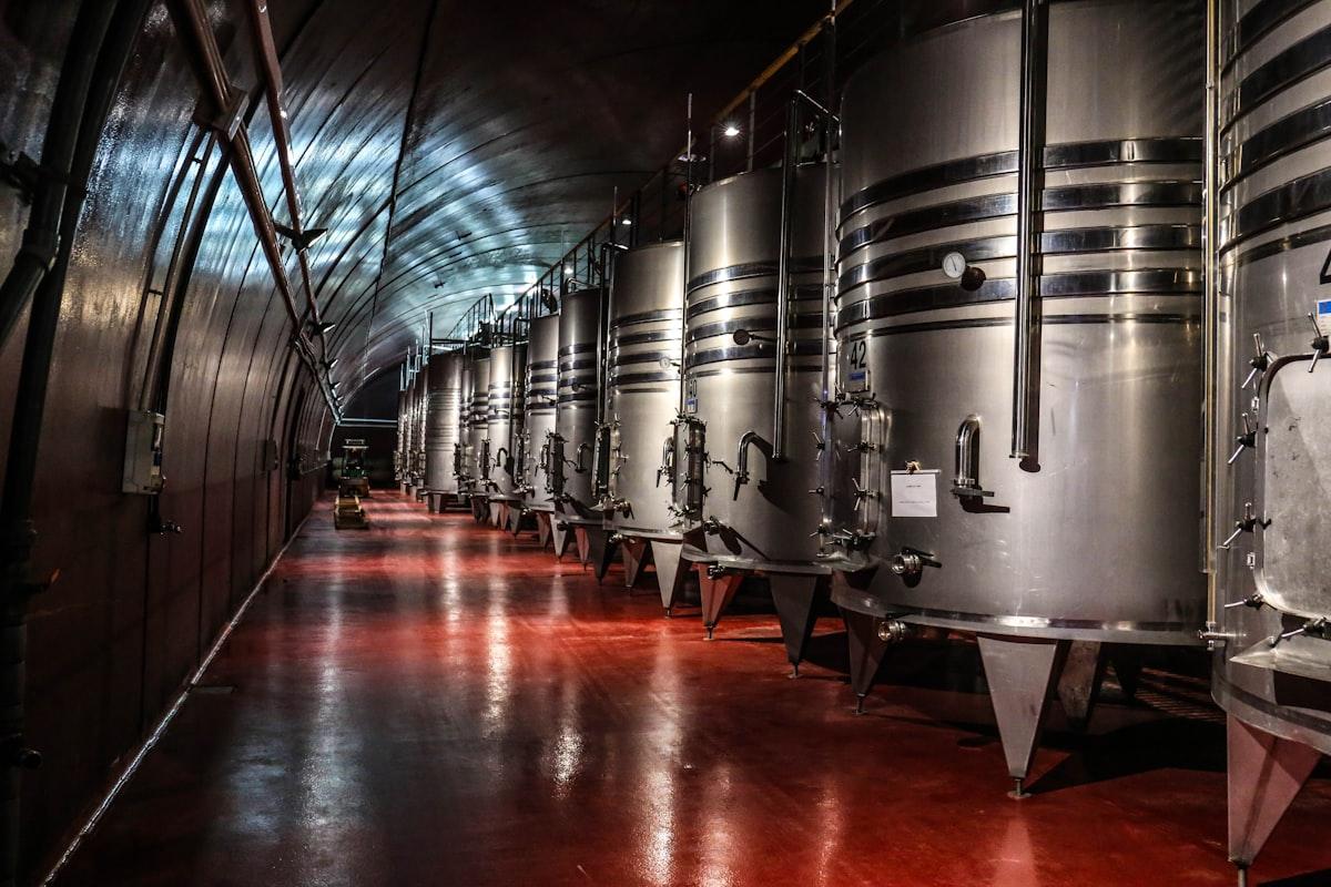 Our wine cellar